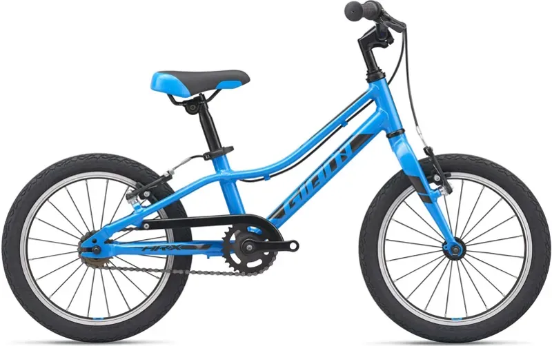 Giant best sale youth bike