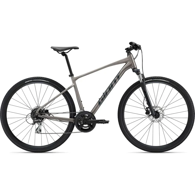 2022 Giant Roam 3 Disc Hybrid Bike in Metal
