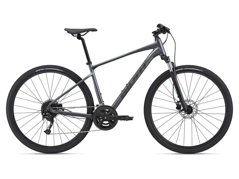 2021 Giant Roam 2 Disc Hybrid Bike in Grey