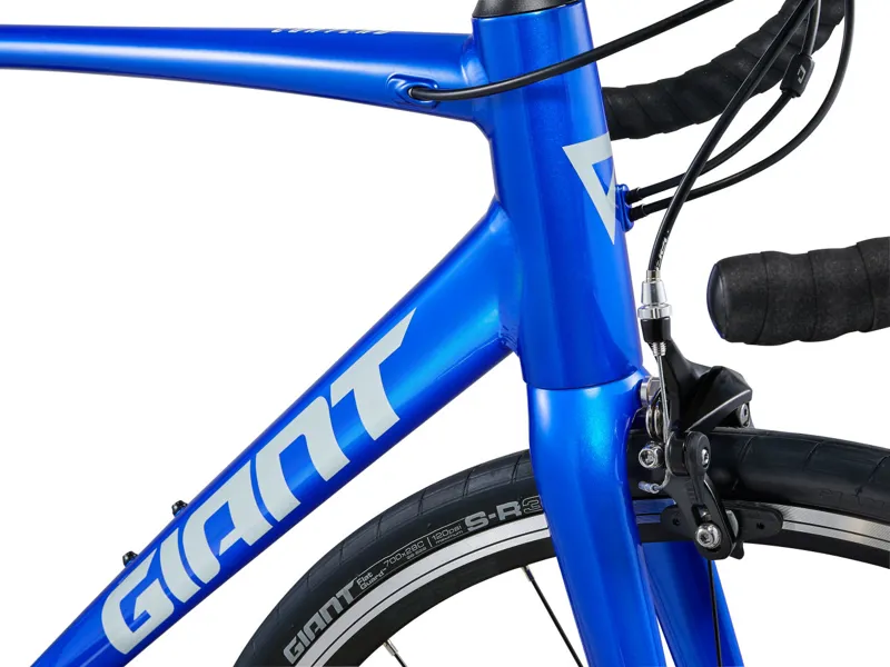 Giant Contend 2 Road Bike in Cobalt Blue-1