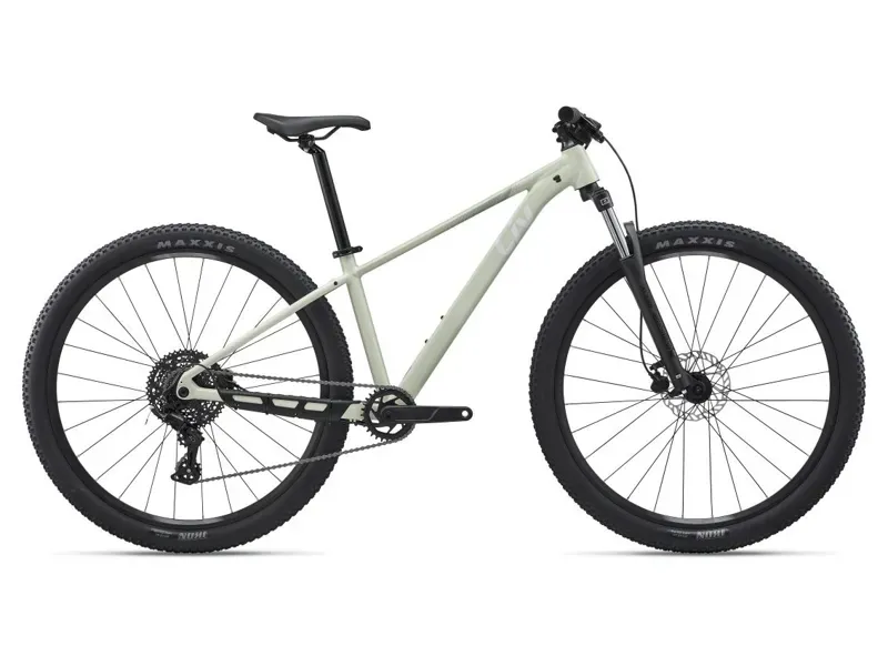 Liv Tempt 4 Mountain Bike in Pale Moss