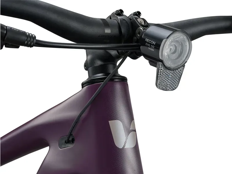 Liv Tempt E+ 2 EX eMountain Bike in Tyrian Purple-6